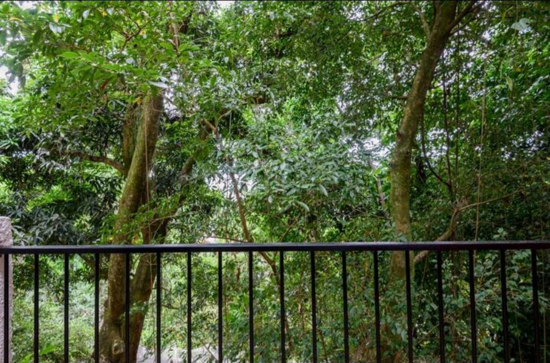 Santa Teresa Junto à Natureza Alojamento de Acomodação e Pequeno-almoço